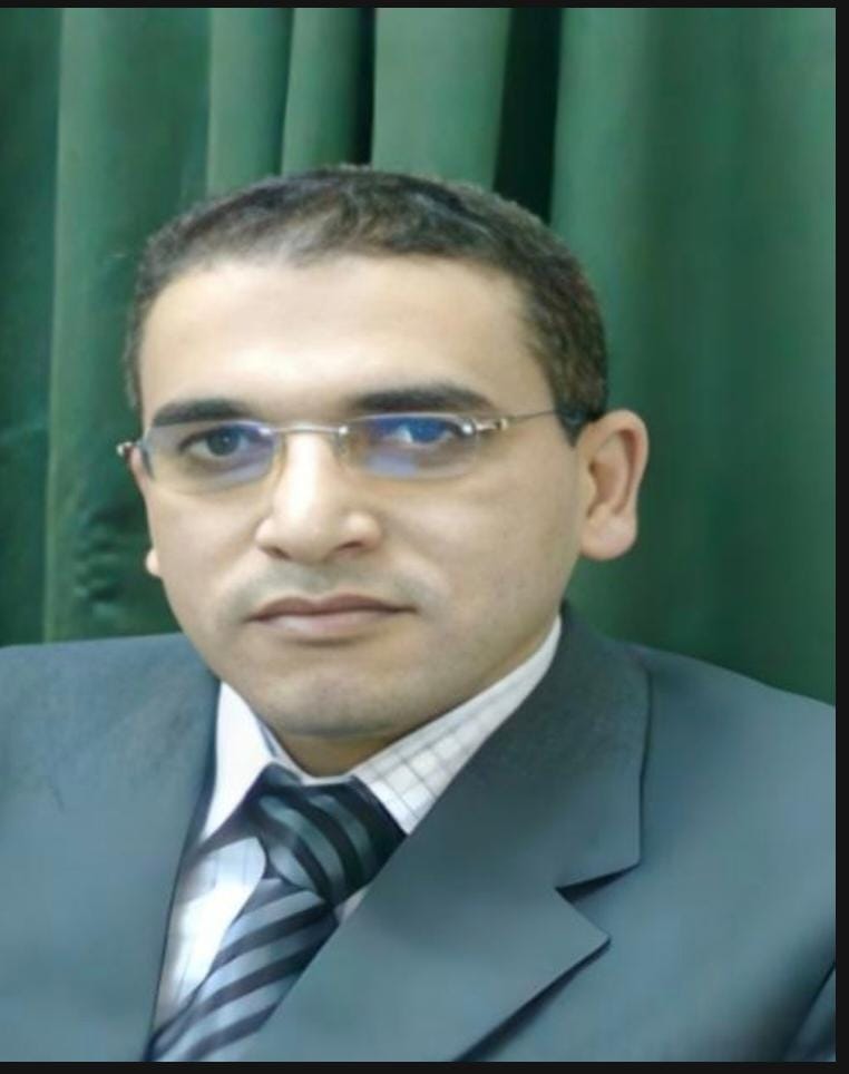 Ayman Mahmoud Abdel Mofeed Hassan